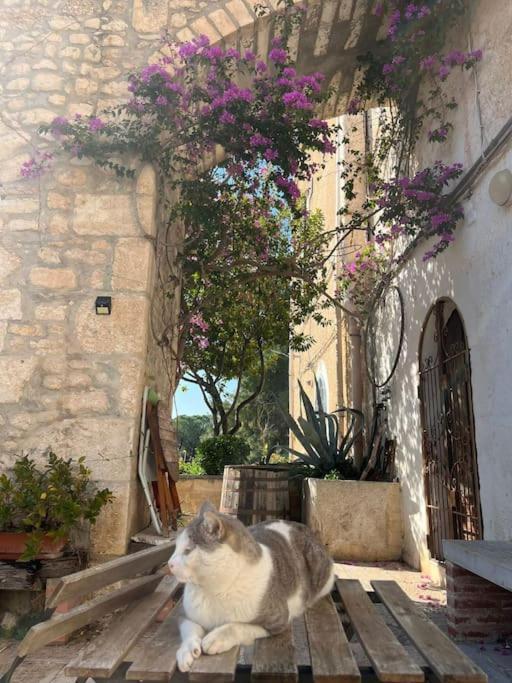 Casa Masseria Dell'800 Gargano. Le Mignole Monte Sant'Angelo Luaran gambar