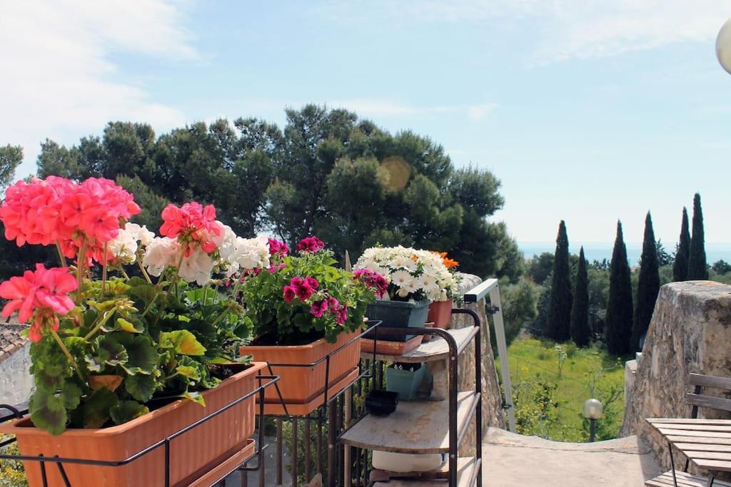 Casa Masseria Dell'800 Gargano. Le Mignole Monte Sant'Angelo Luaran gambar